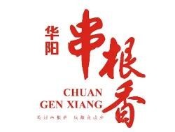 华阳串根香
