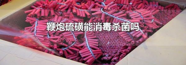鞭炮硫磺能消毒杀菌吗