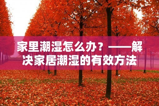家里潮湿怎么办？——解决家居潮湿的有效方法