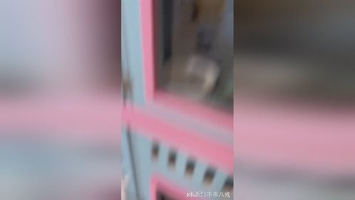 没有边界感的小奶猫