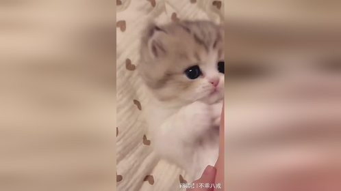 麻麻说我一点也不可爱，真的吗
