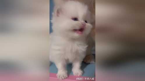 救命啊！！！！