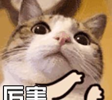 家里的闲置物品别着急丢,学会这些创意用法