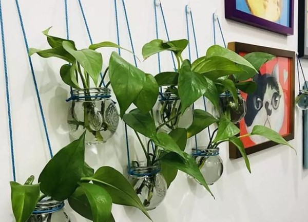 家里的闲置物品别着急丢,学会这些创意用法