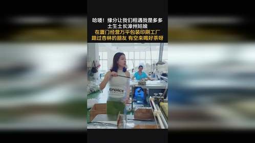 GRS认证服装包装袋自粘袋再生塑料自封袋骨条袋RPET拉链袋厂家