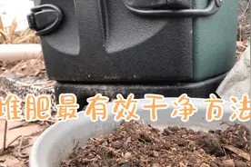 堆肥方法中最有效干净减少厨余垃圾保环境有好的方式工具视频封面