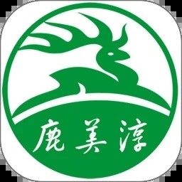 鹿美淳软件
