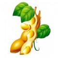 豆角商城 v1.0.18