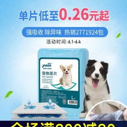 宠物除尿味秘籍,轻松告别异味!