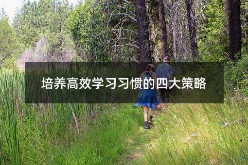 培养高效学习习惯的四大策略