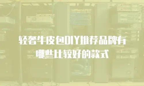 轻奢牛皮包DIY推荐品牌有哪些比较好的款式