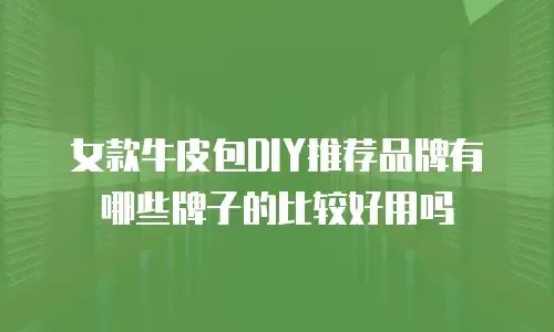 女款牛皮包DIY推荐品牌有哪些牌子的比较好用吗