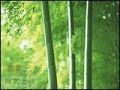关于环保，还有生活质量问题