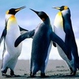 fillshare