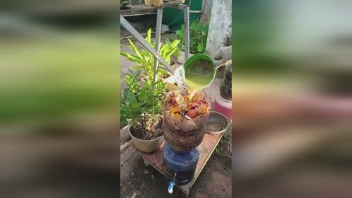 自制堆肥水，又节省用肥成本了