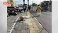 盲道拆一条留一条 南侧盲道距离远安全性低 记者帮忙 出行盲道得以恢复原貌