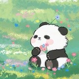 熊猫种太阳
