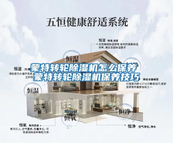 蒙特转轮除湿机怎么保养 蒙特转轮除湿机保养技巧