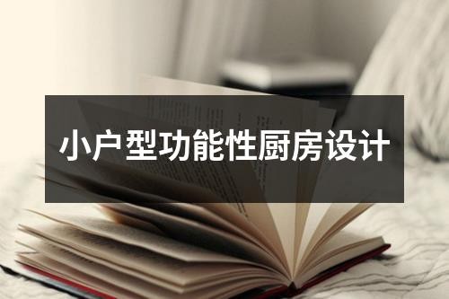 小户型功能性厨房设计