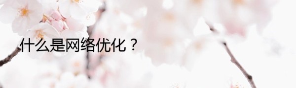 什么是网络优化？