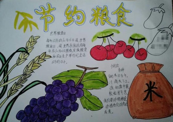 我是节约小能手四年级手抄报四年级手抄报