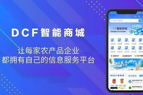 合规筑基,靠谱之选:DCF AI智能商城的可持续发展之路