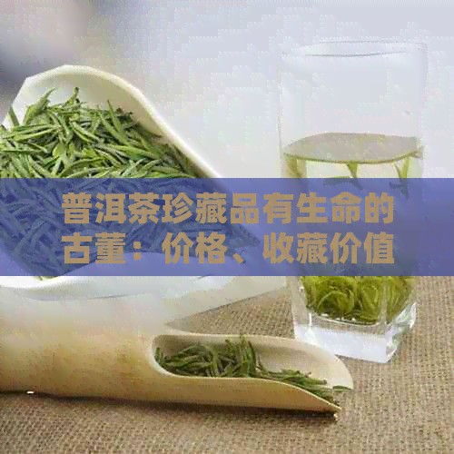 普洱茶珍藏品有生命的古董：价格、收藏价值及文物属性探讨