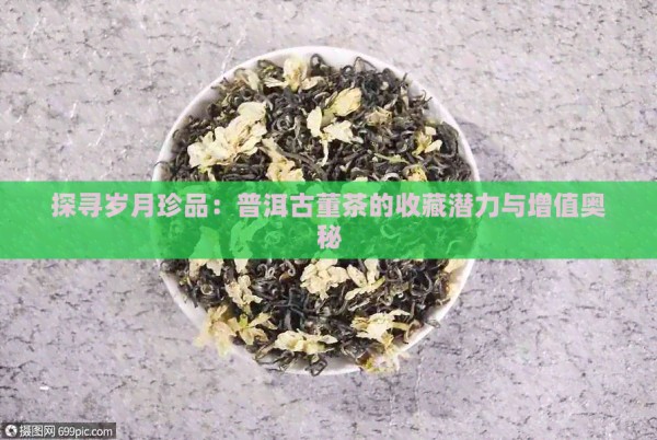 探寻岁月珍品：普洱古董茶的收藏潜力与增值奥秘