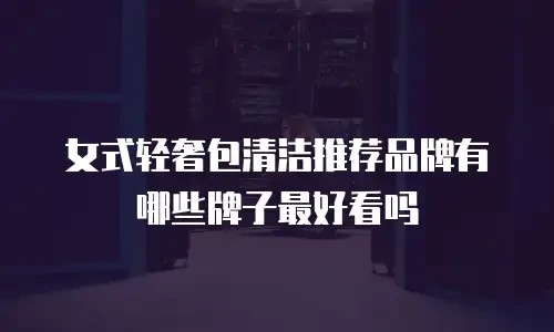 女式轻奢包清洁推荐品牌有哪些牌子最好看吗
