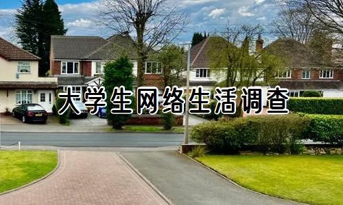 大学生网络生活调查