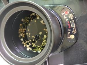 自制夏天最解渴的健康饮料的做法 步骤2