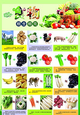 蔬菜相生相克单