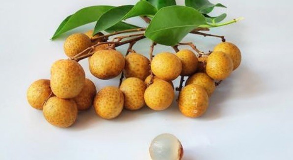 网络图片(侵删)