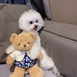 一只椰子