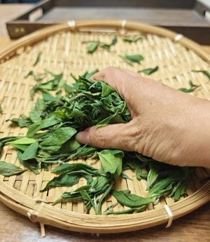家庭自制红茶(保姆级教程)的做法 步骤5