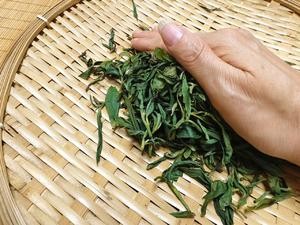 家庭自制红茶(保姆级教程)的做法 步骤7