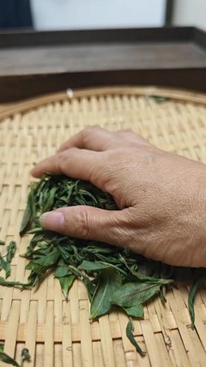 家庭自制红茶(保姆级教程)的做法 步骤10