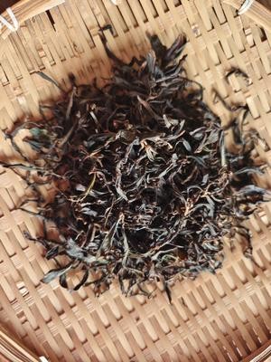 家庭自制红茶(保姆级教程)的做法 步骤16