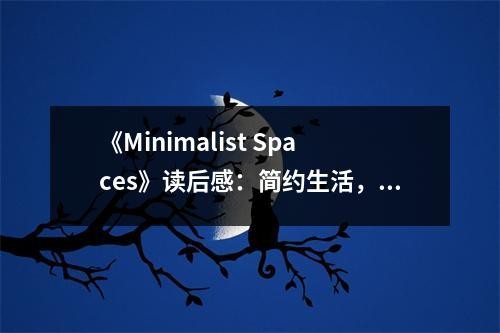 《Minimalist Spaces》读后感：简约生活，尽享宁静之美 (700字)