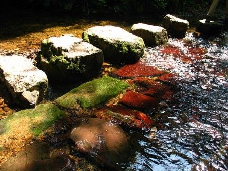 杭州 九溪十八涧