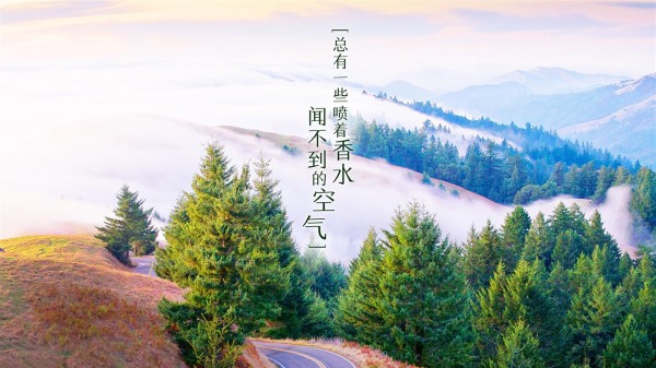 运动减压的科学依据_运动减压注意事项