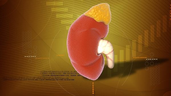 糖尿病肾病不能吃什么肉食物