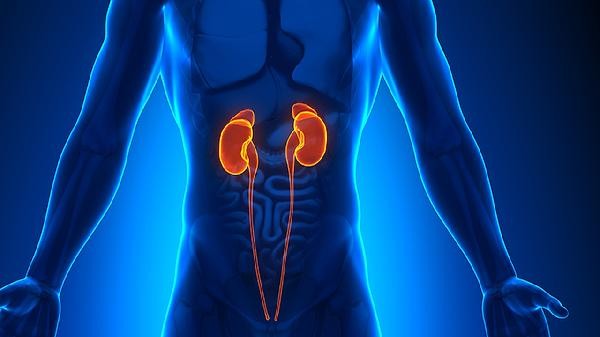 糖尿病肾病吃什么水果蔬菜好