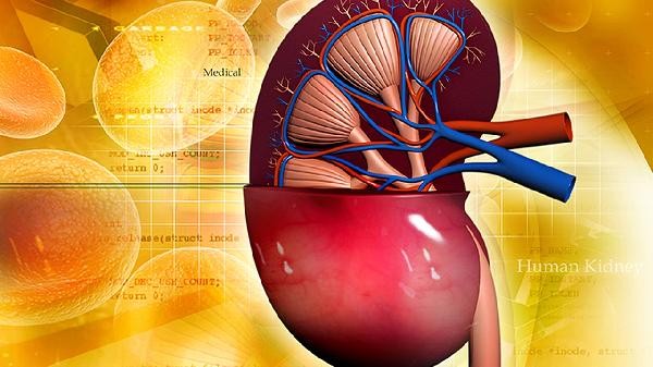 糖尿病肾病不能吃什么菜