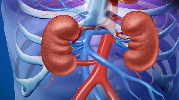 糖尿病肾病不可以吃哪些食品