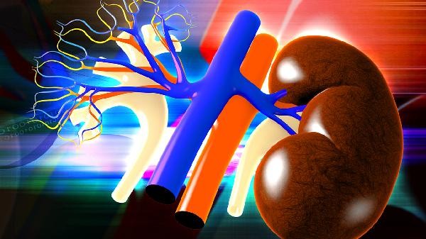 糖尿病肾病的人不能吃的食品都有啥