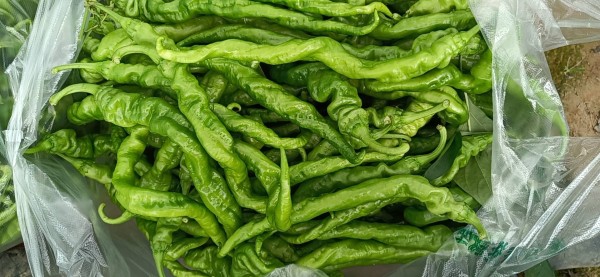 螺丝椒整颗特写