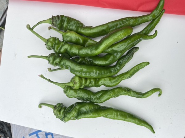 螺丝椒切丝过程示意图