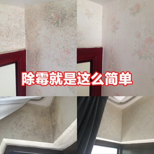 3瓶墙体除霉剂室内墙纸墙面墙布墙壁发霉去墙体除霉剂