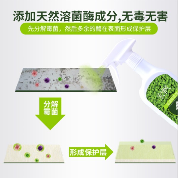 墙体墙上除霉防霉喷剂墙壁发霉修复处理长毛墙体除霉剂